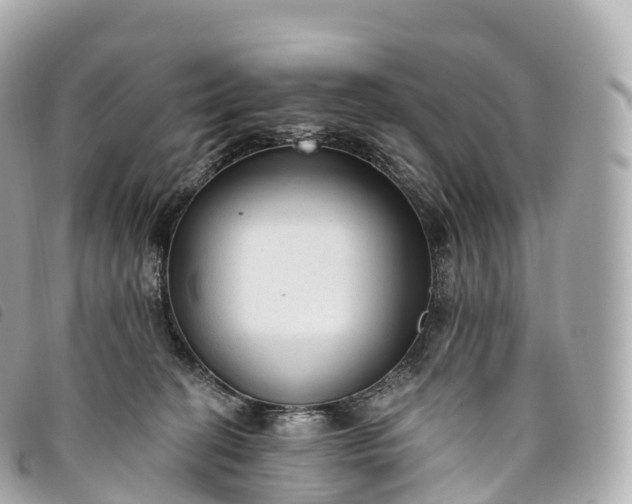X0000093500274200710261143