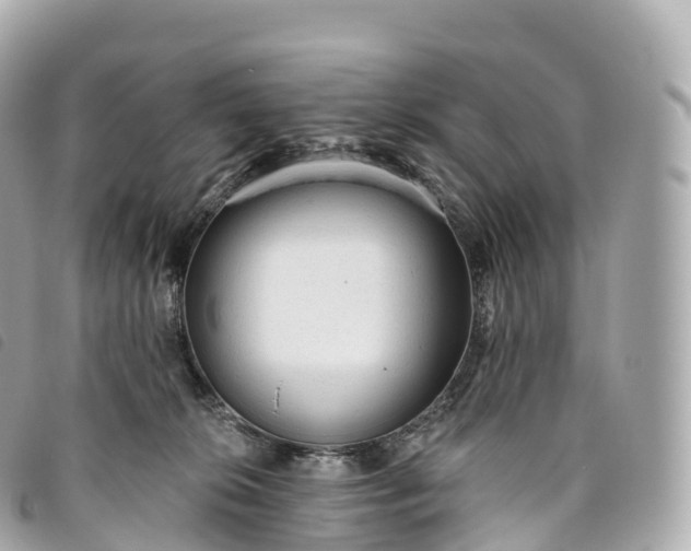 X0000093500276200710261143