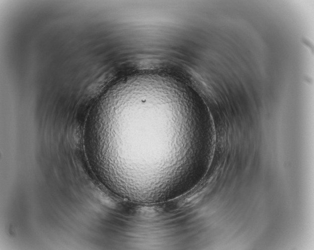 X0000093500277200710261143