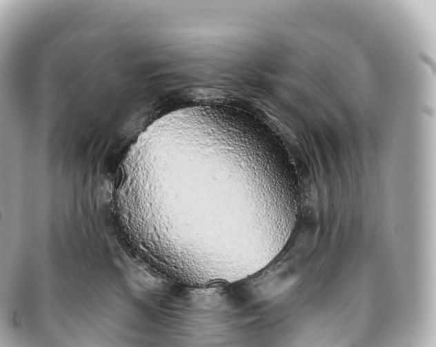 X0000093500281200710261143