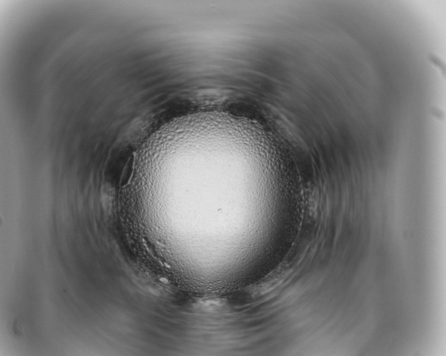 X0000093500283200710261143