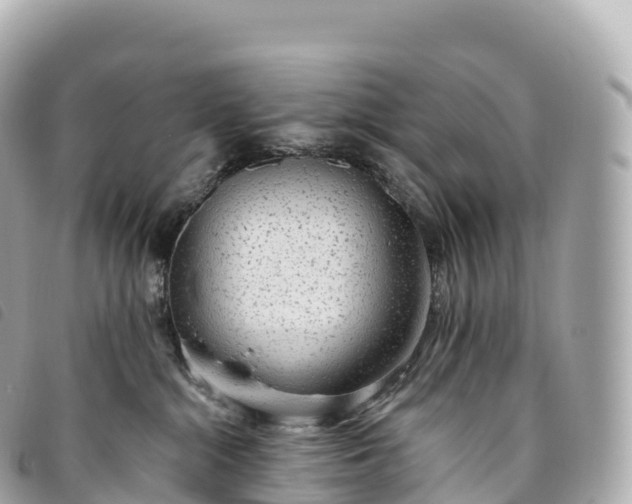 X0000093500284200710261143