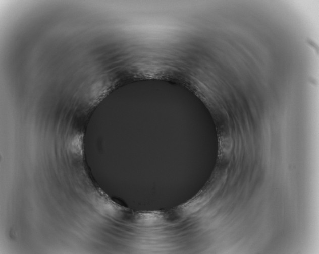 X0000093500286200710261143