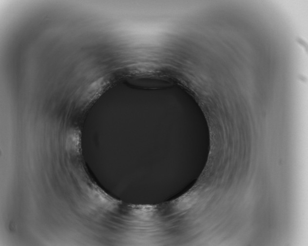 X0000093500288200710261143