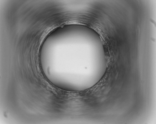 X0000093500289200710261143