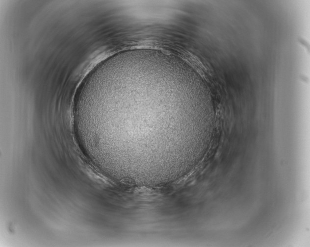 X0000093500290200710261143