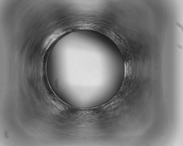 X0000093500291200710261143