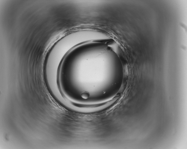 X0000093500293200710261143