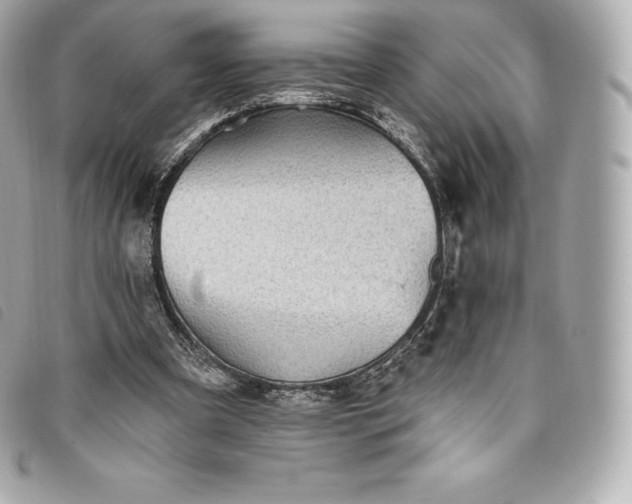X0000093500297200710261143