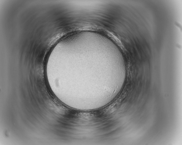 X0000093500298200710261143
