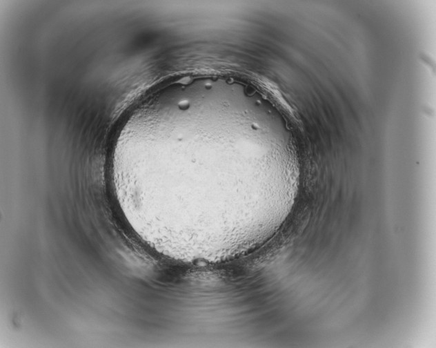 X0000093500299200710261143