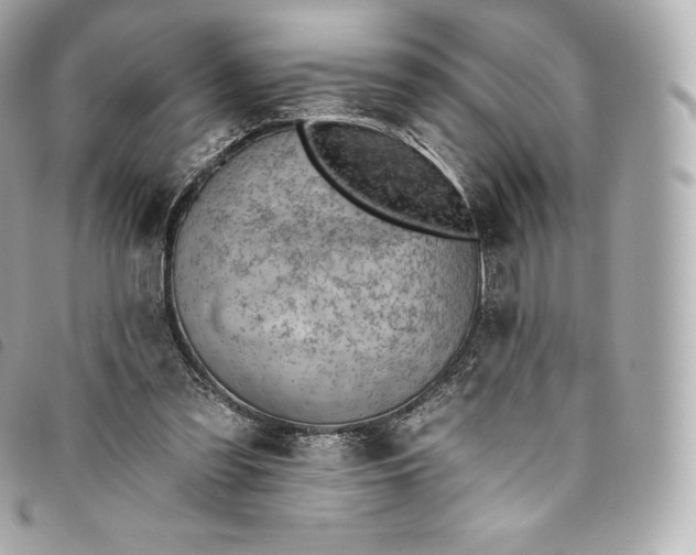 X0000093500301200710261143