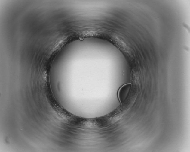 X0000093500308200710261143