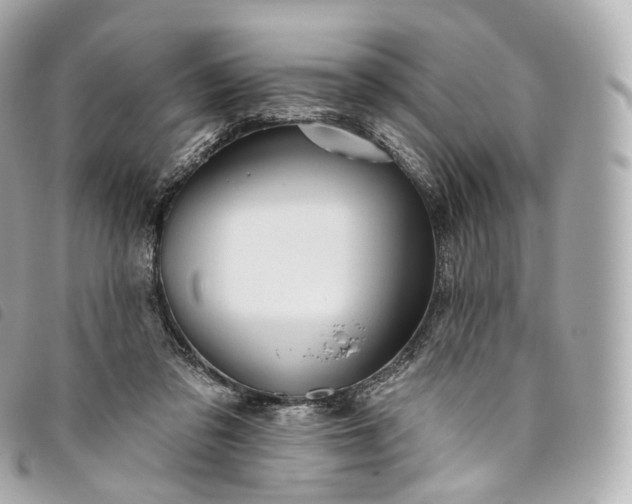 X0000093500309200710261143