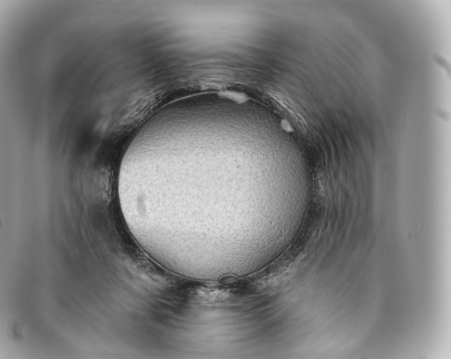 X0000093500311200710261143