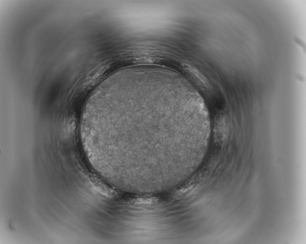 X0000093500314200710261143