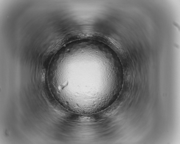 X0000093500315200710261143