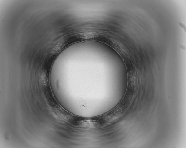 X0000093500316200710261143