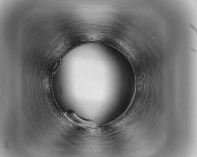 X0000093500317200710261143