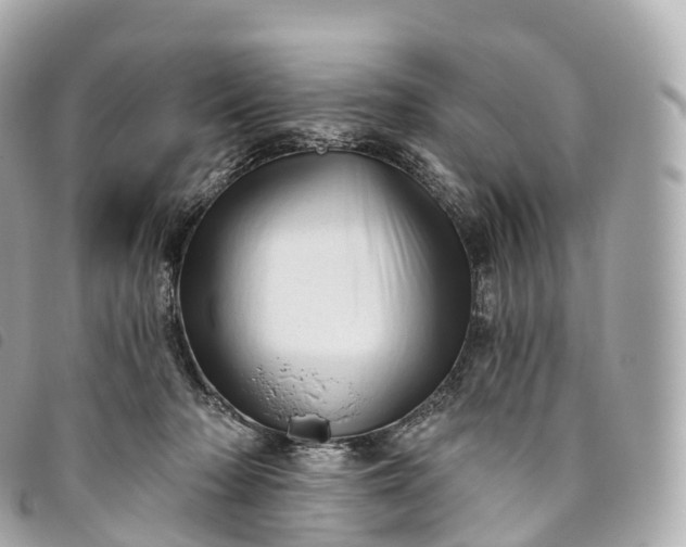 X0000093500318200710261143