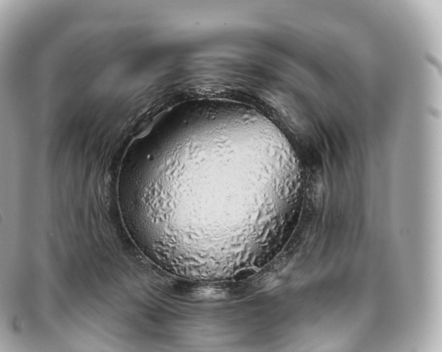 X0000093500319200710261143