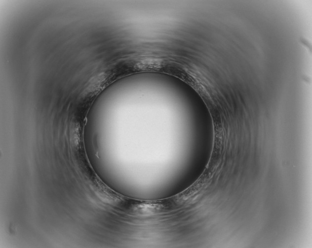X0000093500323200710261142
