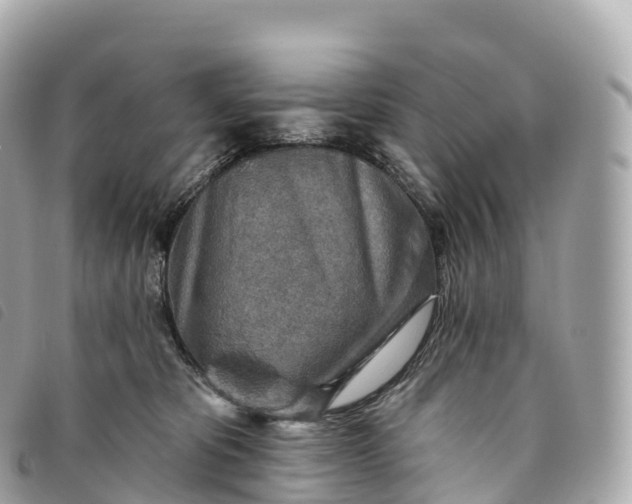 X0000093500325200710261142