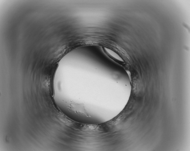 X0000093500329200710261142