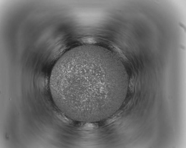 X0000093500330200710261142