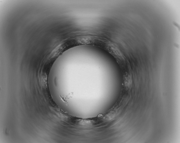 X0000093500332200710261142