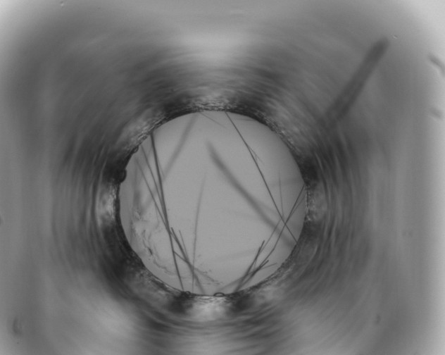 X0000093500334200710261142