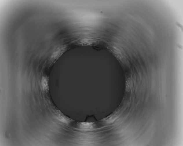 X0000093500335200710261142