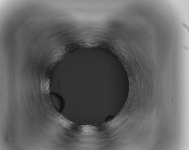 X0000093500336200710261142