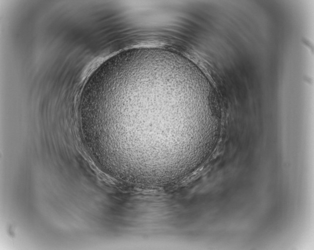 X0000093500337200710261142