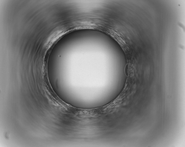 X0000093500338200710261142