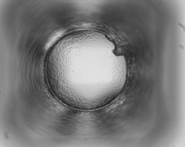 X0000093500341200710261142