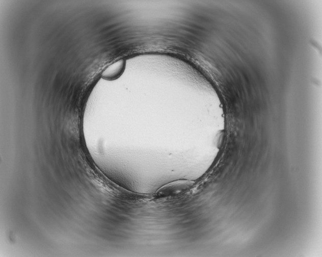 X0000093500345200710261142