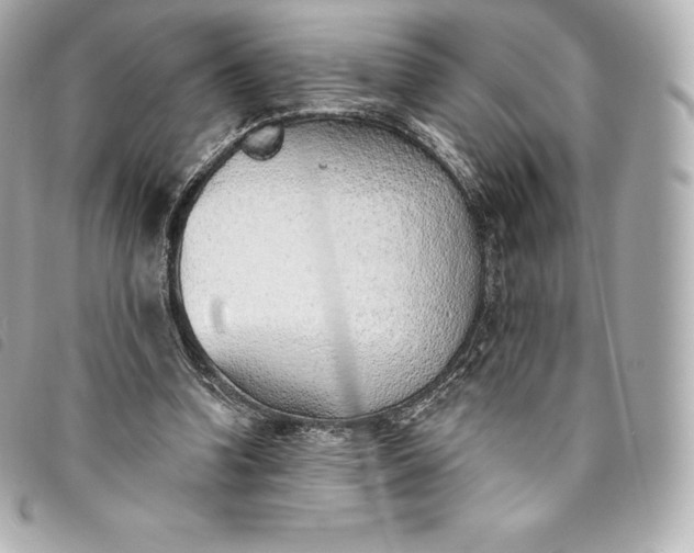 X0000093500346200710261142