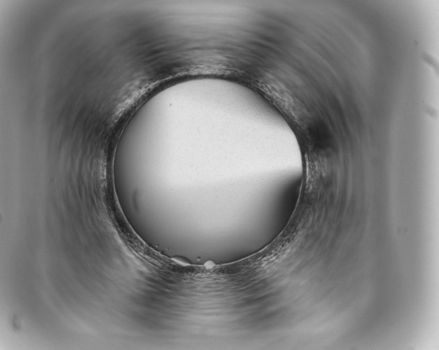 X0000093500348200710261142