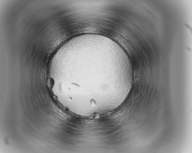 X0000093500349200710261142