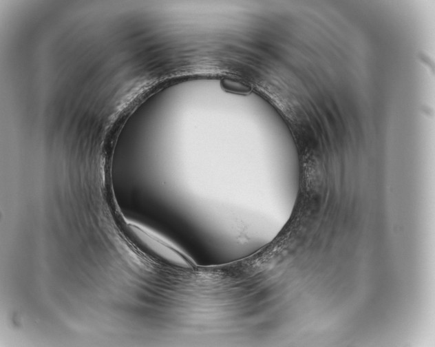 X0000093500350200710261142