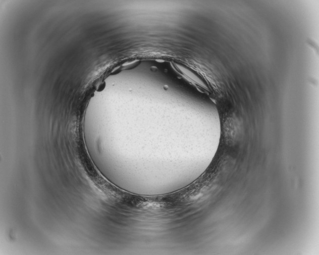 X0000093500352200710261142