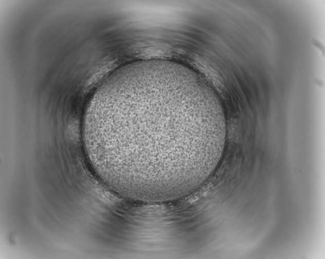 X0000093500353200710261142