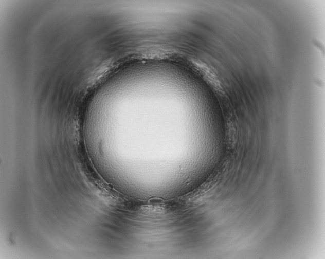 X0000093500354200710261142