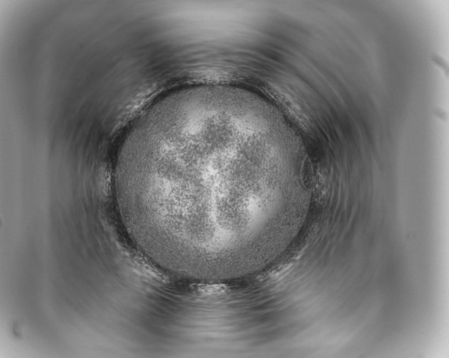 X0000093500355200710261142