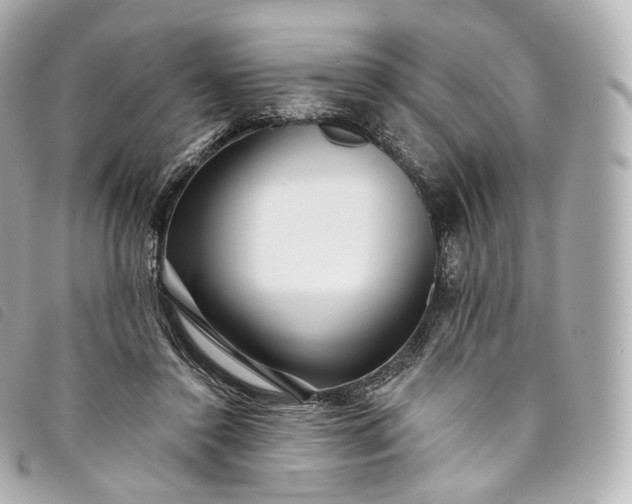 X0000093500356200710261142