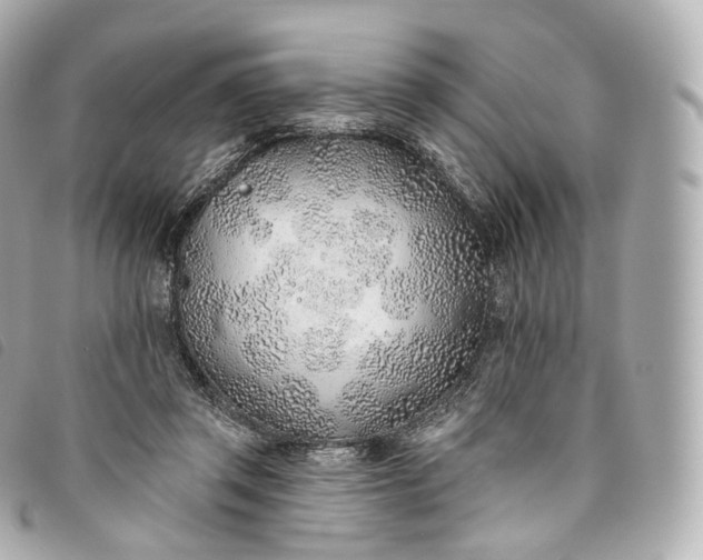 X0000093500357200710261142
