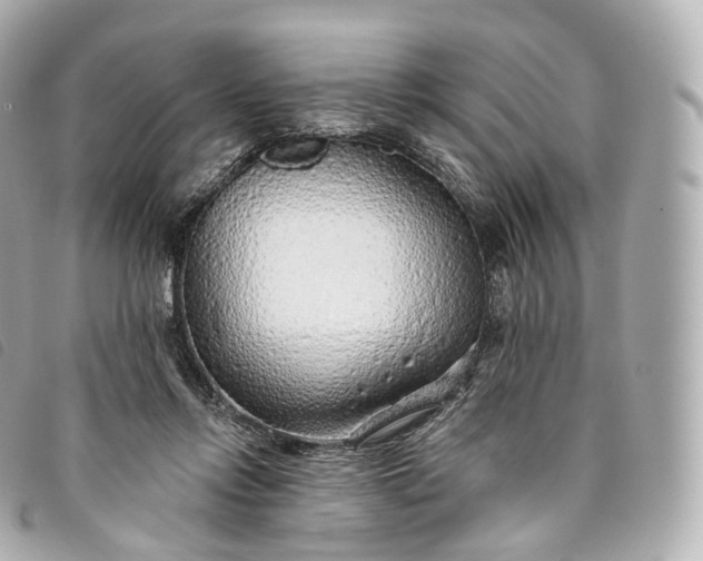 X0000093500358200710261142