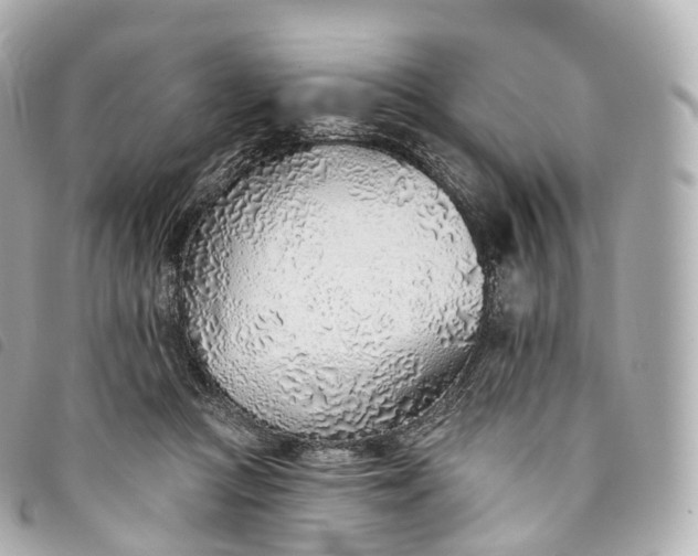 X0000093500361200710261142