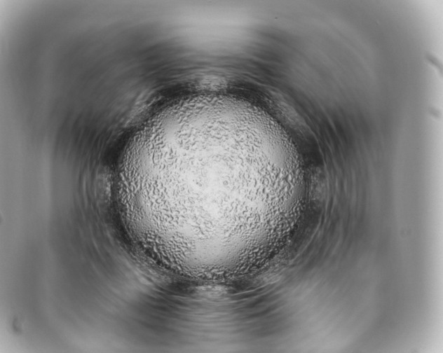 X0000093500363200710261142
